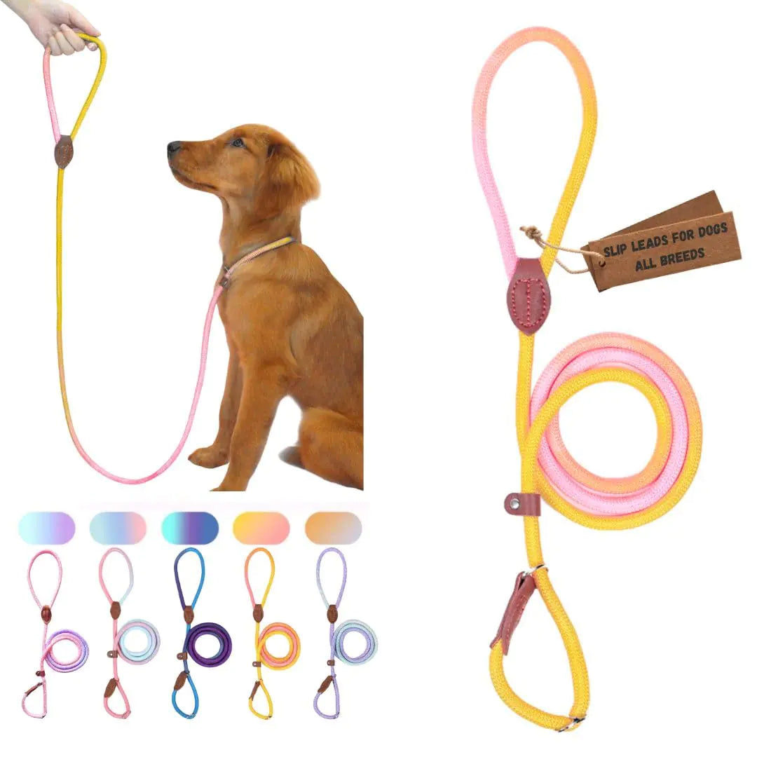 Bee N Buu Dog Leash - Slip Leads for Dogs 5 FT Pet Training Leash Strong Heavy Duty Braided No Pull Loop Rope Training Lead Leashes for Small Medium Large Breeds Pink & Yellow